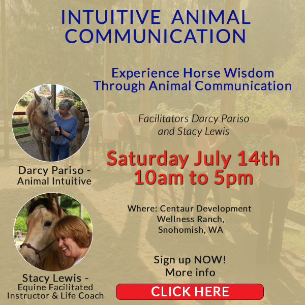 Darcy Pariso July 14th animal communication workshop