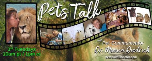 The Pet Communicator Show with Dr. Monica Diedrich: Shelter In Place With Your Pets!